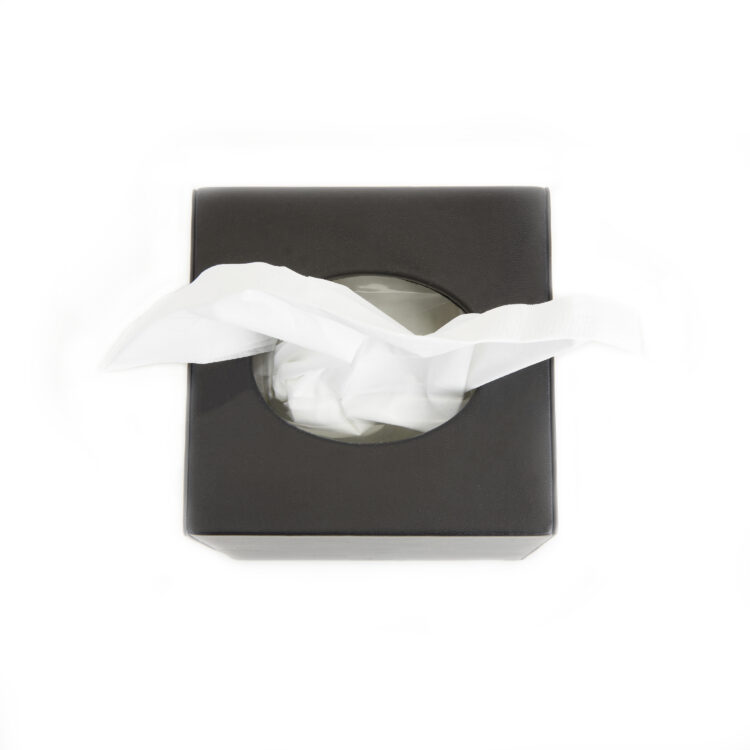 Tissue Box Holder taupe