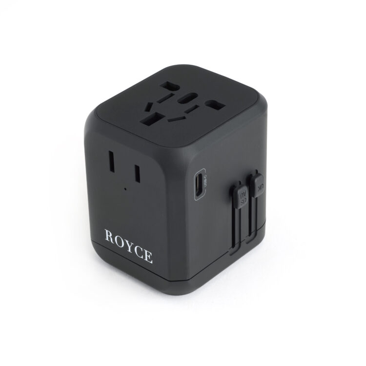 International Travel Adapter and Leather Case taupe
