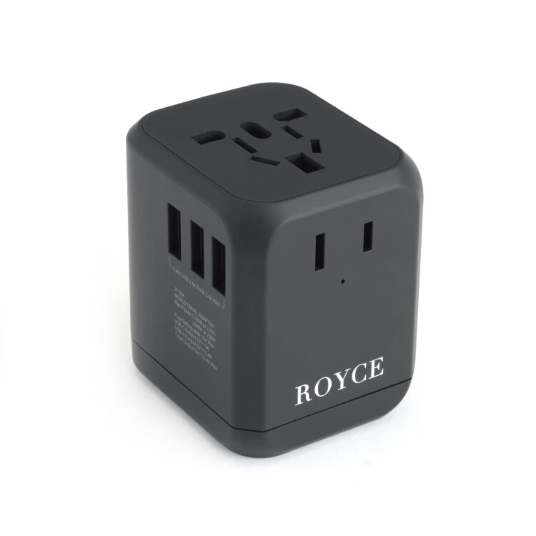 International Travel Adapter and Leather Case taupe