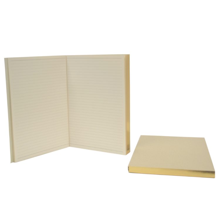 A5 Journal Insert Refills (Set of 2) with Gold Gilded Edging refill