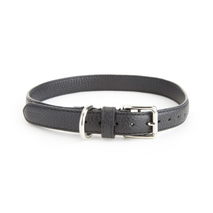 Medium Dog Collar blue
