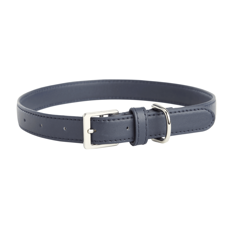 Medium Dog Collar blue