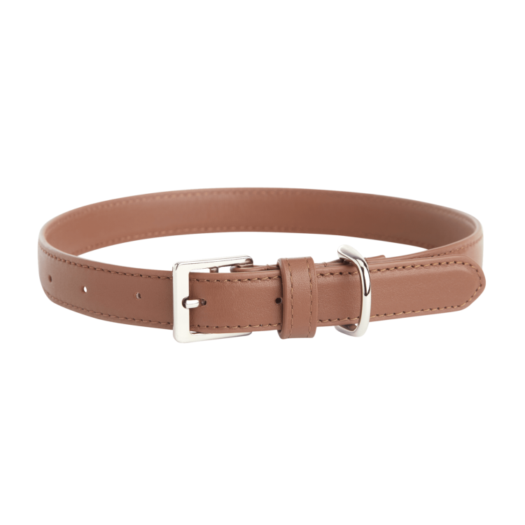 Medium Dog Collar blue