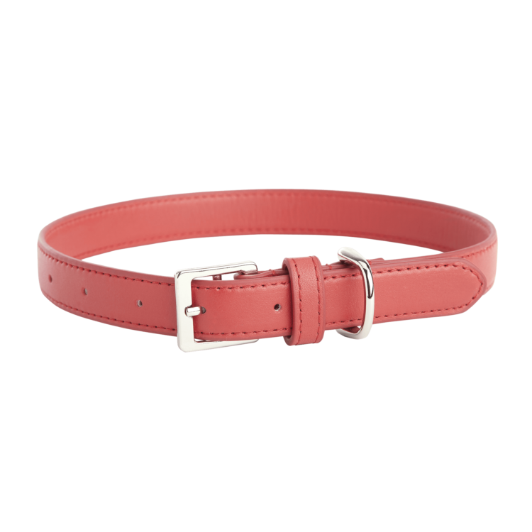 Medium Dog Collar blue