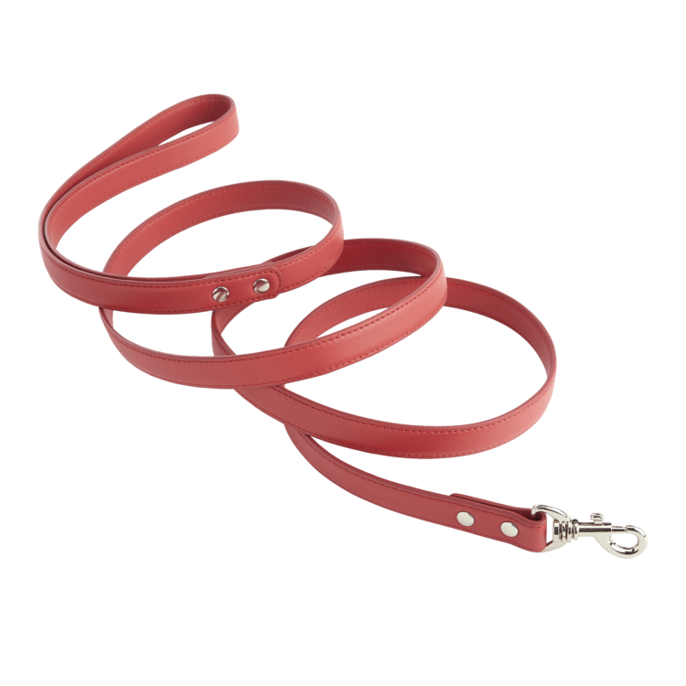 6 Foot Dog Leash blue