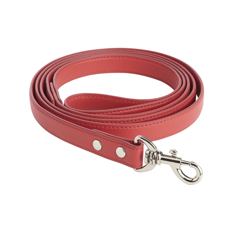 6 Foot Dog Leash blue