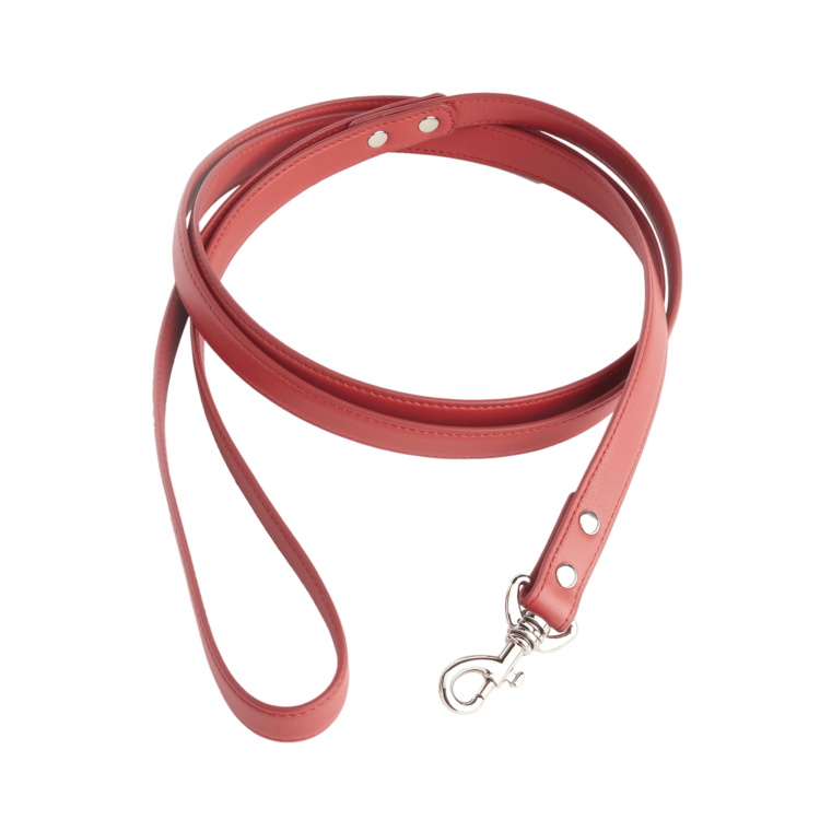 6 Foot Dog Leash blue
