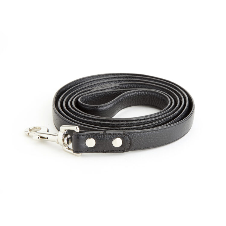 6 Foot Dog Leash blue