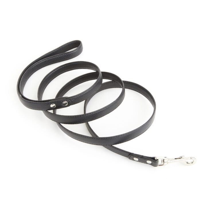 6 Foot Dog Leash blue