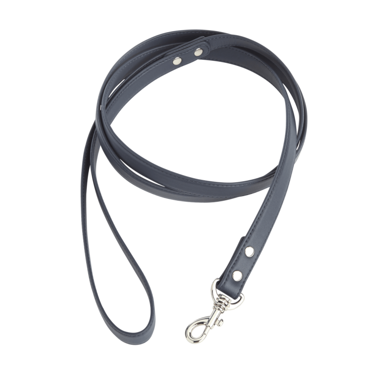 6 Foot Dog Leash blue