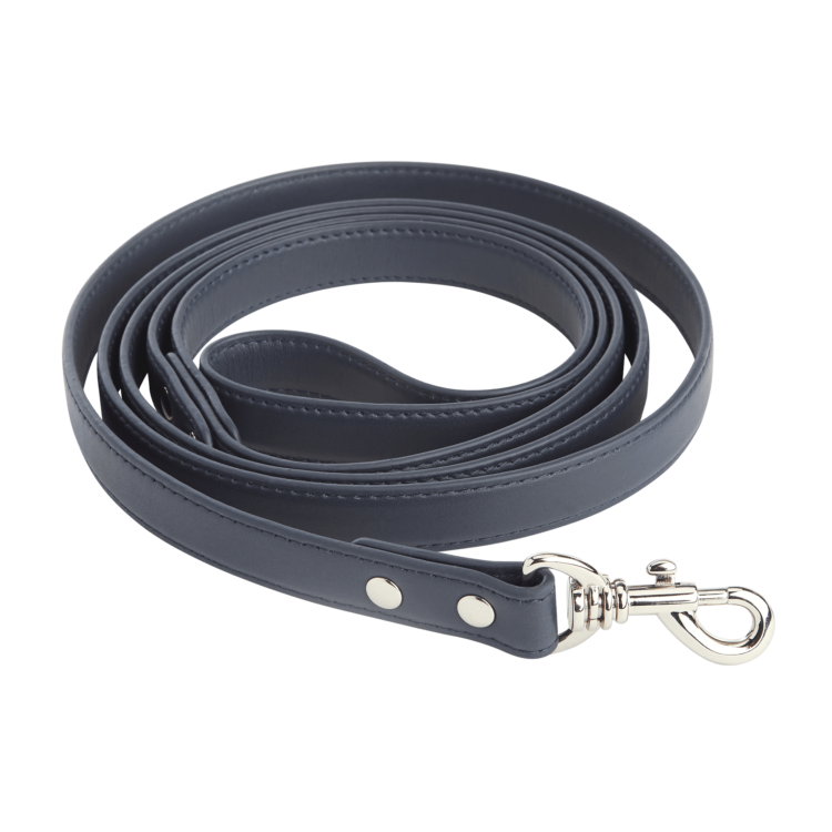 6 Foot Dog Leash blue