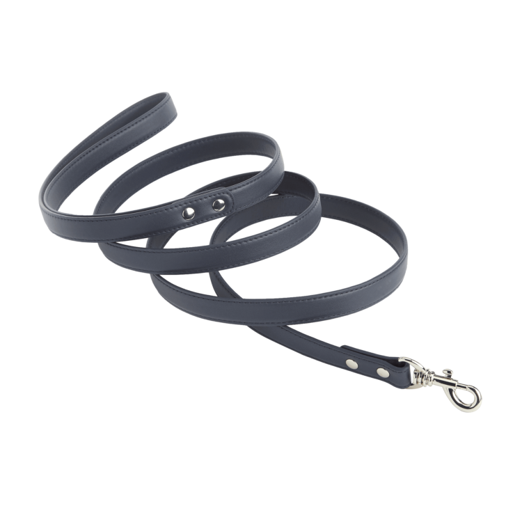 6 Foot Dog Leash blue