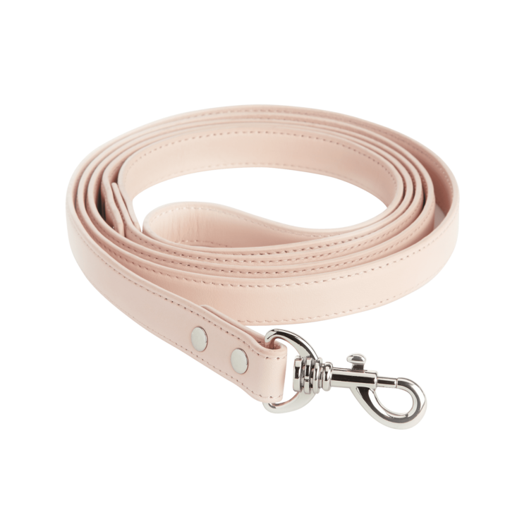 6 Foot Dog Leash blue