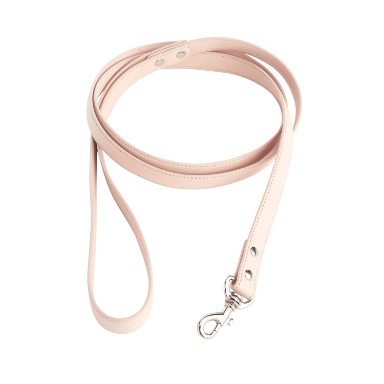 6 Foot Dog Leash blue