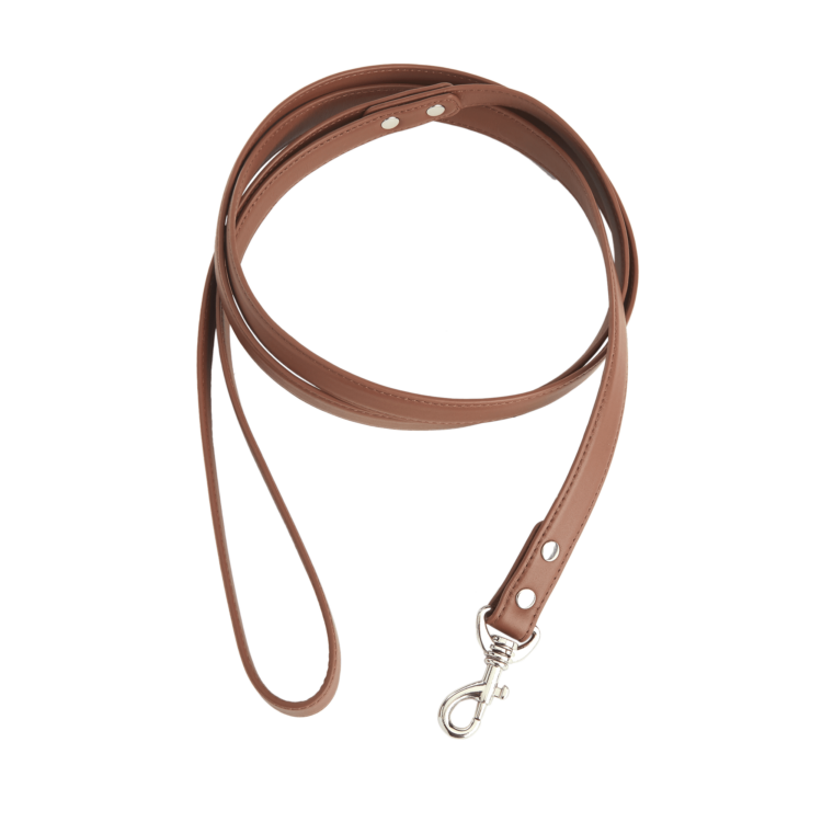 6 Foot Dog Leash blue